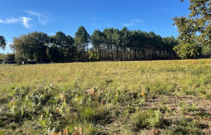 votre maison de 100m2 sur un terrain de 573m2 sur la commune de Le Porge au prix de 335000€ avec Alpha Constructions